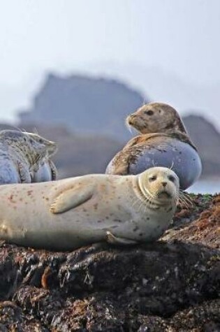 Cover of Seals Resting Notebook