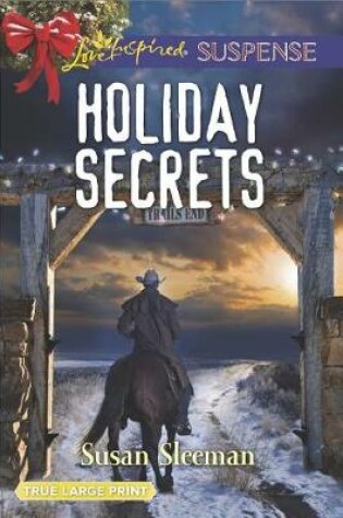 Cover of Holiday Secrets