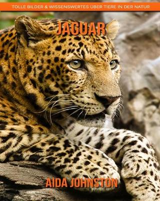 Book cover for Jaguar