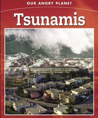 Book cover for Tsunamis