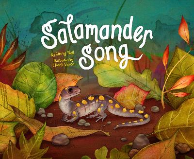 Book cover for Salamander Song