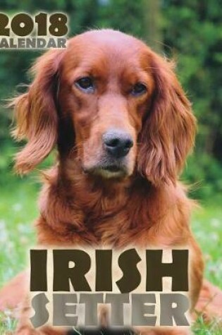 Cover of Irish Setter 2018 Calendar