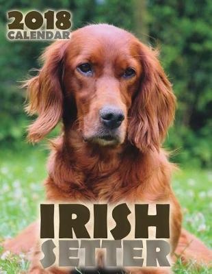 Book cover for Irish Setter 2018 Calendar