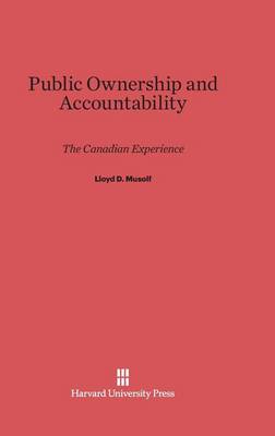 Book cover for Public Ownership and Accountability