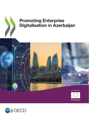 Book cover for Promoting Enterprise Digitalisation in Azerbaijan