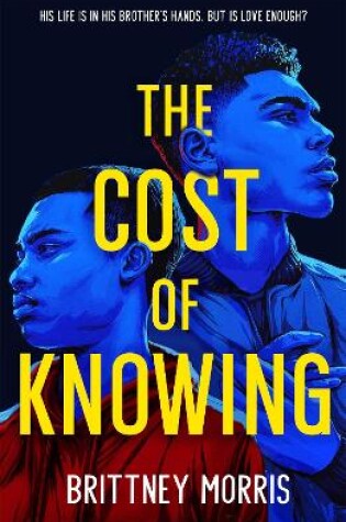 Cover of The Cost of Knowing