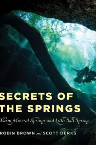 Cover of Secrets of the Springs