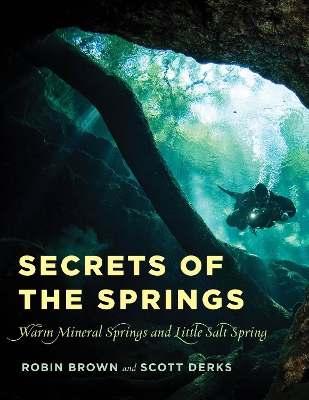 Book cover for Secrets of the Springs