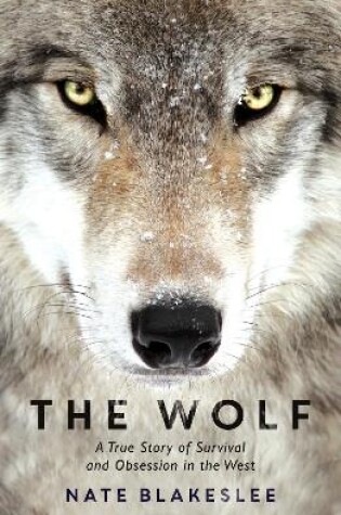 Cover of The Wolf