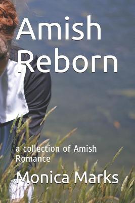 Book cover for Amish Reborn