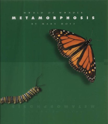 Book cover for Metamorphosis