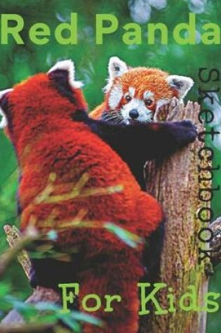 Cover of Red Panda Sketchbook For Kids