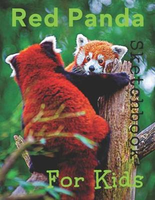 Book cover for Red Panda Sketchbook For Kids