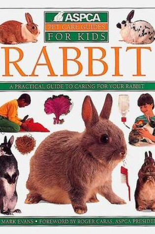 Cover of Rabbit