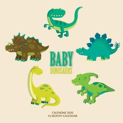 Book cover for Baby Dinosaurs Calendar 2020