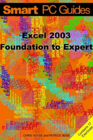 Cover of Excel 2003