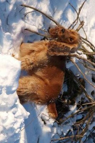 Cover of Cocker Spaniel in the Snow Journal