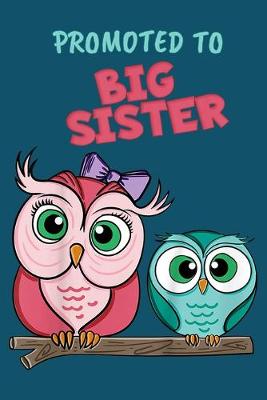 Cover of Promoted to big sister