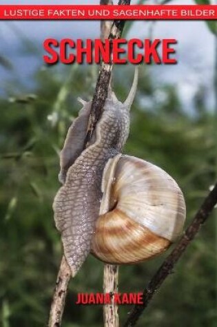 Cover of Schnecke