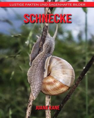 Book cover for Schnecke