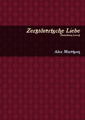 Book cover for Zerstorerische Liebe