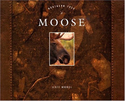 Book cover for Moose