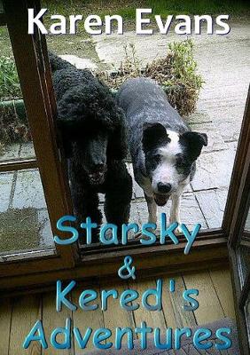 Book cover for Starsky & Kered's Adventures