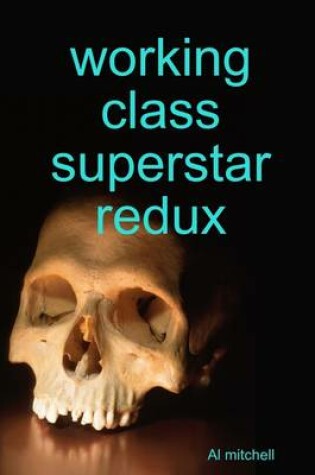 Cover of Working Class Superstar Redux