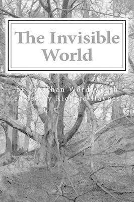 Book cover for The Invisible World