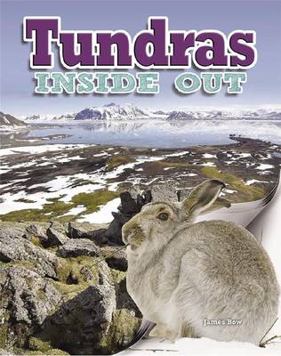 Book cover for Tundras
