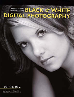 Book cover for Professional Techniques For Black & White Digital Photography