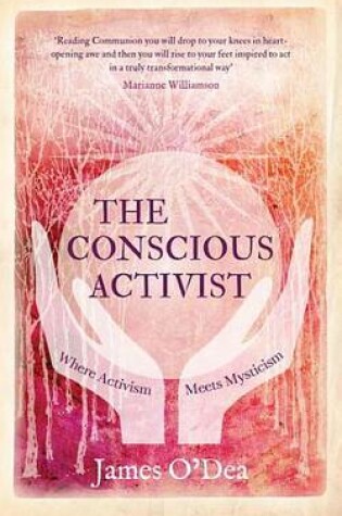 Cover of The Conscious Activist