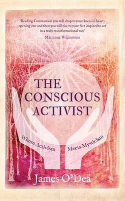 Book cover for The Conscious Activist