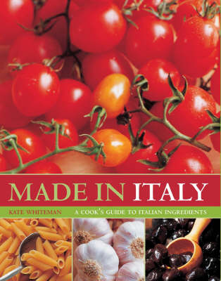 Book cover for Made in Italy