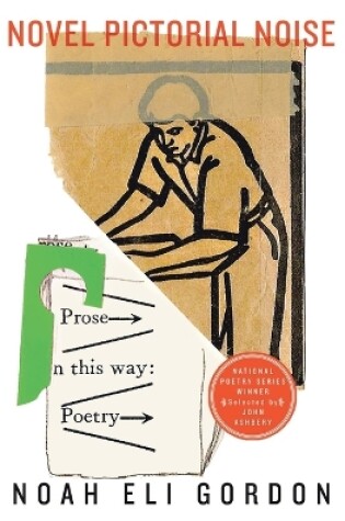 Cover of Novel Pictorial Noise
