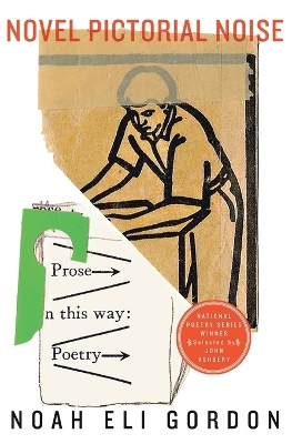 Book cover for Novel Pictorial Noise