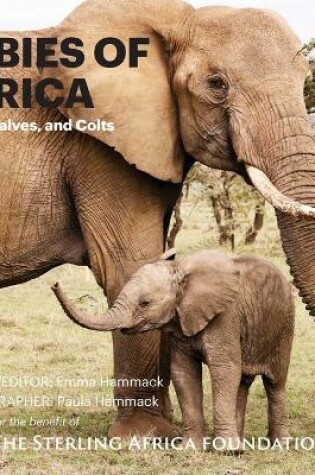 Cover of Babies of Africa