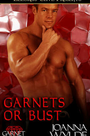 Cover of Garnets or Bust