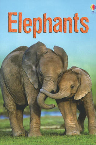 Cover of Elephants