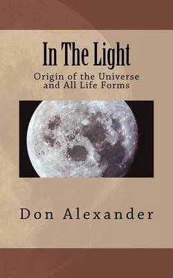 Book cover for In The Light