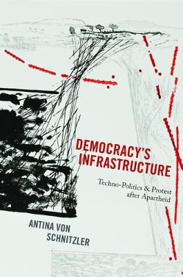 Book cover for Democracy's Infrastructure