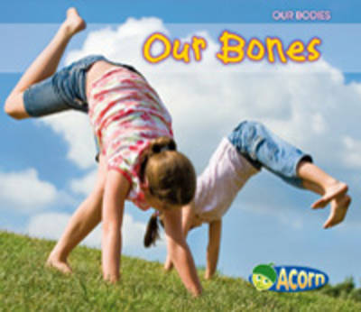 Book cover for Our Bodies Pack B of 4