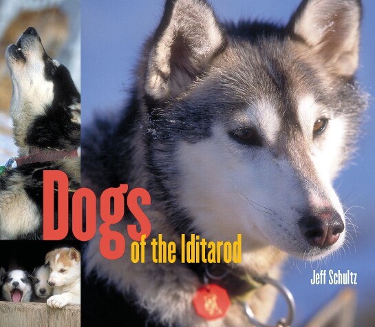 Book cover for Dogs of the Iditarod