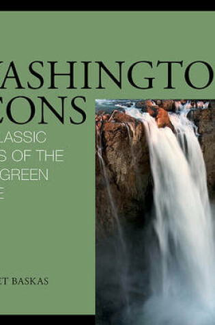 Cover of Washington Icons
