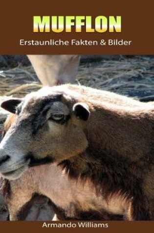 Cover of Mufflon