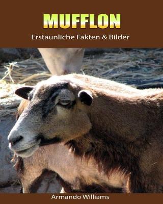 Book cover for Mufflon