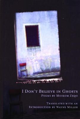 Book cover for I Don't Believe in Ghosts