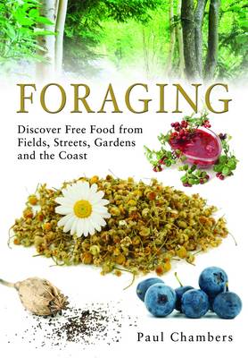 Book cover for Foraging