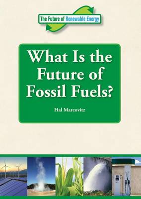 Book cover for What Is the Future of Fossil Fuels?