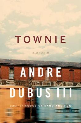 Book cover for Townie
